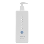 Diversified Hospitality Infusé White Tea Coconut Collection Shampoo 16.23 Oz. Bottle For Pump Dispenser 12 Per Case Price Per Case